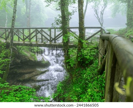 Wooden bridge over water stream in the green forest in a misty day