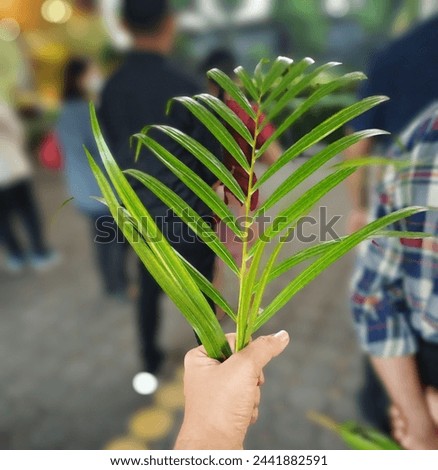 Jakarta, March 24, 2024. Palm Sunday at Santo Joseph Church