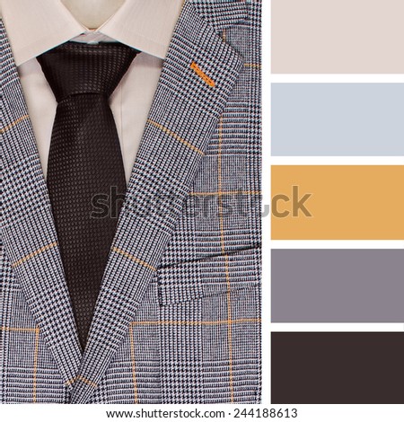color palette swatches. men's jacket and Shirts