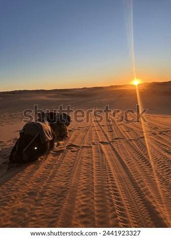 Sunrise in the Moroccan desert , Merzouga