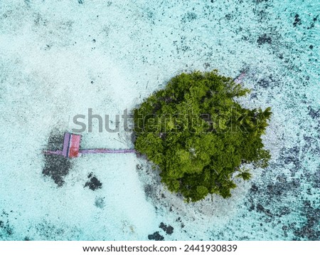 Drone photo of a tiny island covered with tropical greenery in the middle of a white coral reef with a hut and a pier