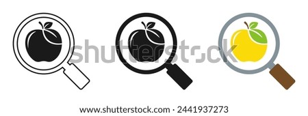 Set of magnifying glass icons with apple, illustration