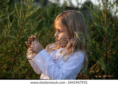 Blonde girl stands at golden hour in green grass, walks on summer evening, child explores the world around her
