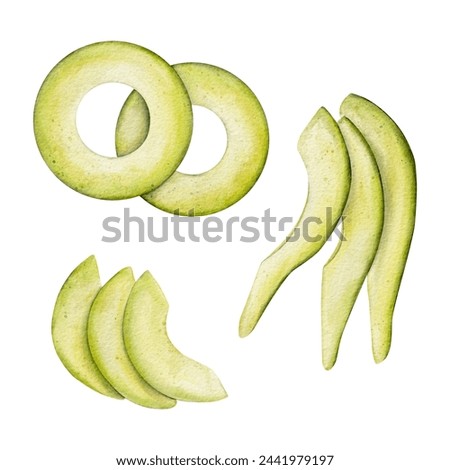 Set of slice Avocado Watercolor illustration. Hand drawn clipart on isolated background. Botanical painting of tropical Fruit. Drawing of green Vegetable for food packaging design. Plant sketch for