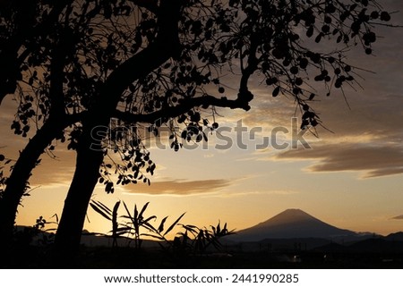 Evening view of suburb with Mt. Fuji and persimmon trees