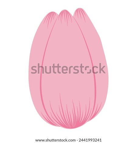 Tulip flower head hand drawn flat illustration. Spring blossom, pink bloom, floral element. Vector design, isolated. Mothers Day, Easter, seasonal, botanical clip art