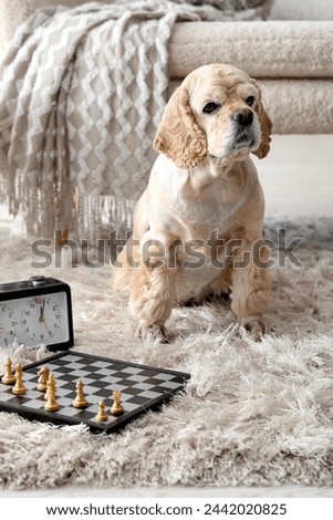 Cute Cocker Spaniel with chess at home