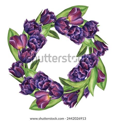 Watercolor wreath of delicate purple tulips with leaves. Spring bouquet of violet flowers illustration isolated on white background. Floral clip art for your design.