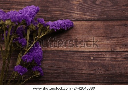 dried flowers on a wood background, contrasting purple on brown, desktop background