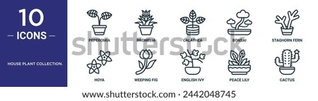 house plant collection. outline icon set includes thin line peperomia, bromelia, calathea, bonsai, staghorn fern, hoya, weeping fig icons for report, presentation, diagram, web design Royalty-Free Stock Photo #2442048745