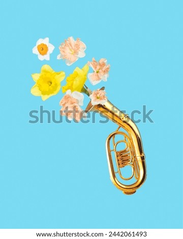 Creative concept of tuba musical instrument with flying spring flowers. Beautiful natural daffodils emerge from the tuba and flies into the sky.