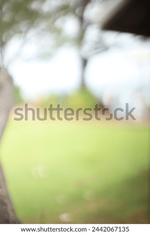 blur outdoor garden with sunlight.Soft focus grass field at the park with sun rays background.