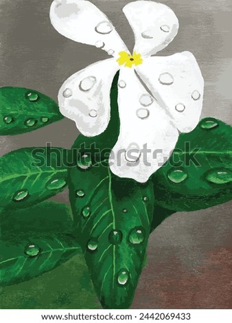 "Dew Drops on Jasmine Flower", "Flower and Leaves After Rain" - Vector Illustration of an Original Flower Painting. Can be used for any commercial or personal purposes.