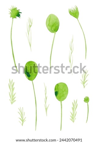 Twigs and flowers in light green watercolor. Flower clip-art