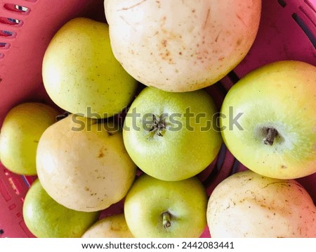 This Is a picture of Fruit Basket .Apple and Gawah Are in the Basket 