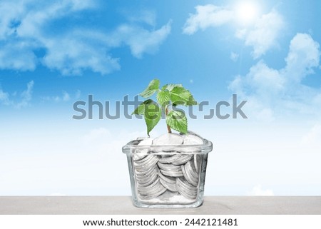 Green plants growing in a glass bowl containing money coins on a blue sky background