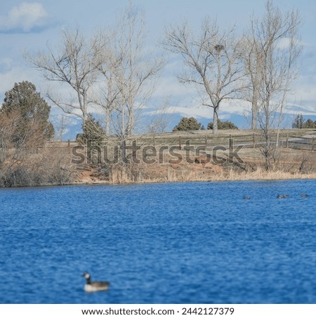 Bingham lake in the Pinery of Parker Colorado during early spring, Douglas County, USA 2024