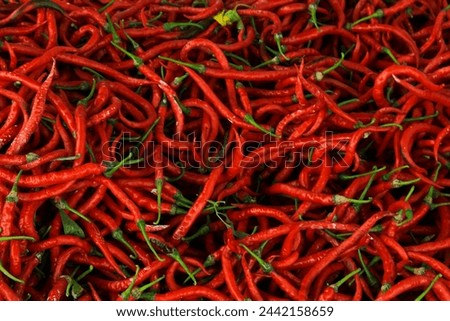 Top view of red chili pepper texture background