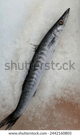 a photography of a fish on a bed of ice on a table.
