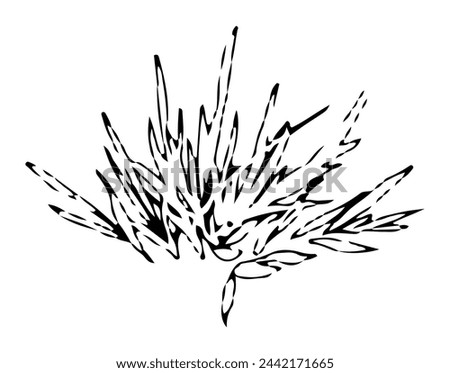 Clip art of weeds monochrome line drawing