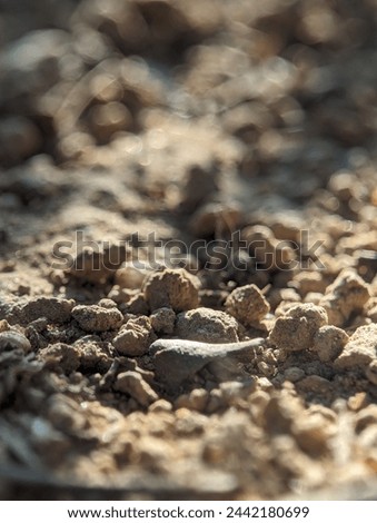 Clump of Sand on the ground