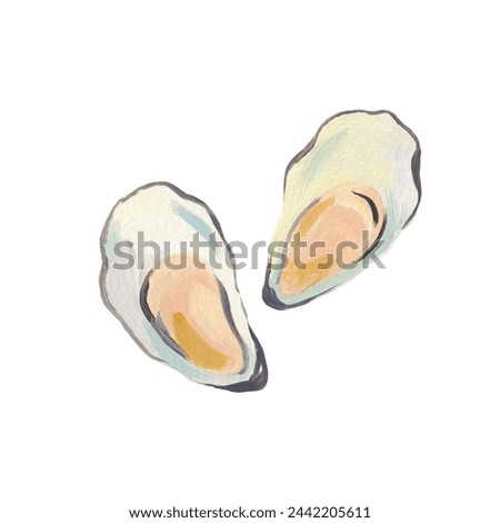 A pair of mussels in shells. Watercolor hand drawn stock illustration. Clip art.
