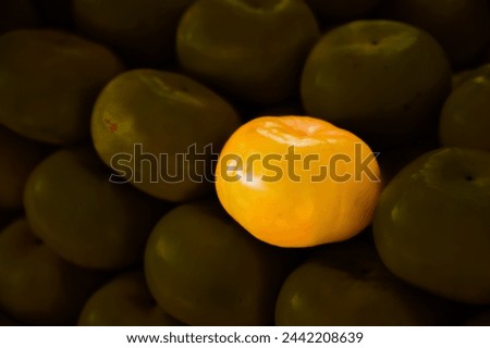 Pile of persimmons. Stock of persimmons. Background of persimmons. Organic persimmon fruit. This fruit is commonly sold in fruit markets at Thailand.
