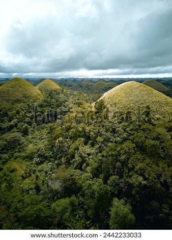 Chocolate hills Bohol. Philippines .Drone. High quality photo