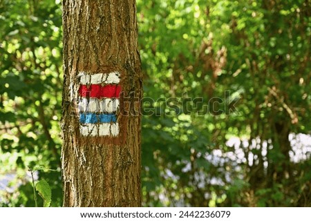 Tourist sign on a tree. Unique color marking of tourist routes in the Czech Republic.