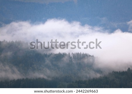 Misty forest layers in Gailtal Alps. Mountain view after rain in Carinthia region of Austria. Royalty-Free Stock Photo #2442269663