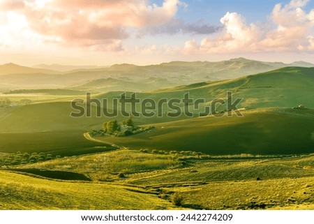spring green field landscape in beautiful countryside with green and yellow grass, rural hills and amazing cloudy sky on background. Agriculture landscape with rural view 
