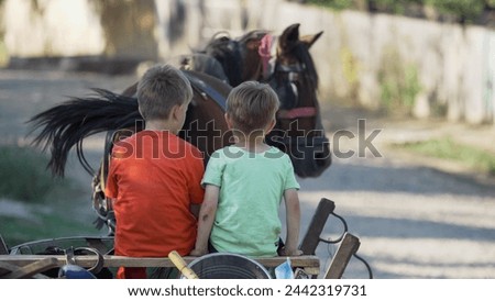 Two little brothers sit in the cart pulled by horse at countryside Royalty-Free Stock Photo #2442319731