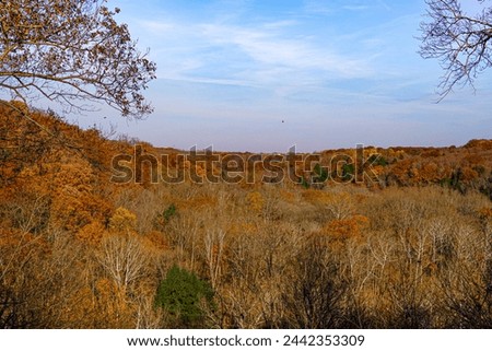 Fall scene in Akron Ohio valley