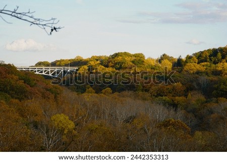 Fall scene in Akron Ohio valley