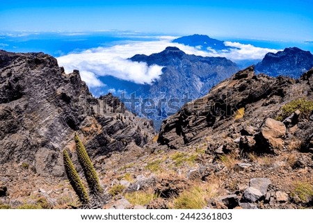 Photo Picture of a Valley in the Canary Islands Roque los Muchachos