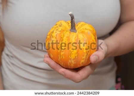 Hand Holding a Small Pumpkin. Cradling a vibrant orange and yellow patterned pumpkin