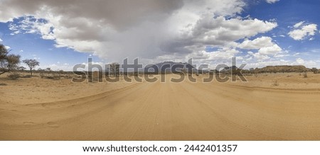Panoramic picture over a gravel road in Damaraland during the rainy season with storm clouds in the background