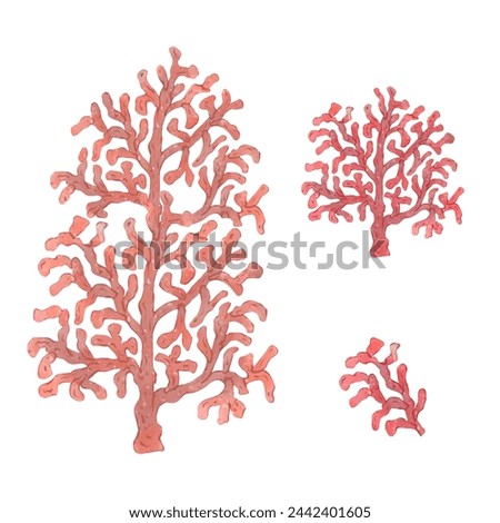 Red coral, sealife. Underwater flora, sea plants, botanical hand drawn illustration in watercolor style. Red marine tropical plant isolated on white background