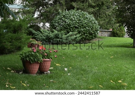 beautiful formal garden with dining place, table tandoor bench on the white hydrangea bush background