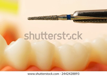 Diamond drill drill against the background of the jaw teeth of a medical mockup, macro. Concept of removing and grinding tartar in dentistry. Removal of dead and carious tooth tissue.  Royalty-Free Stock Photo #2442428893