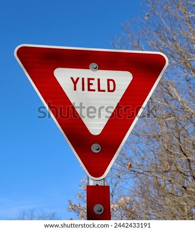 A close view of the red and white yield sign.