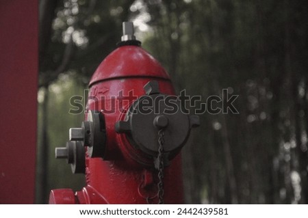 taking a picture on fire hydrant 