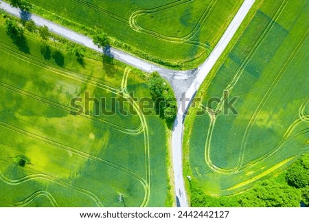 Aerial shot captures the serene beauty of intersecting roads amidst lush green fields. The image showcases a harmonious blend of nature geometry and human infrastructure, creating a captivating