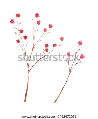 Watercolor Hand Drawn Twigs with Pink Flowers. Clip Art with Branches. Botanical Illustration. Floral Design Elements