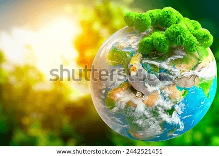 Yellow cockatiel parrot. Protecting the Planet. Animal conservation. Earth Day Royalty-Free Stock Photo #2442521451
