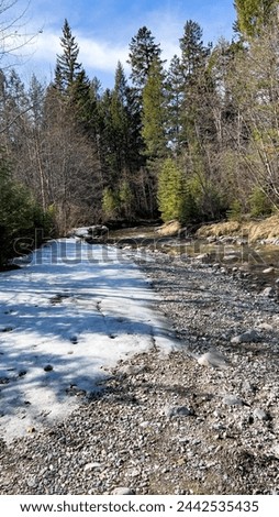 On the hiking trail in Radium Hot Springs, BC, Canada Royalty-Free Stock Photo #2442535435