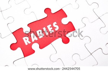 RABIES word alphabet letters on puzzle as a background