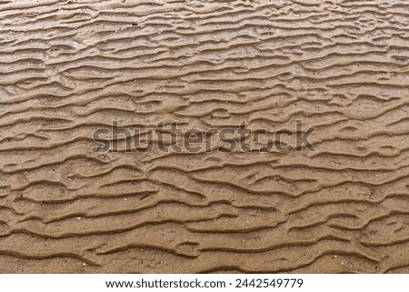 Ripples in the sand on a beach