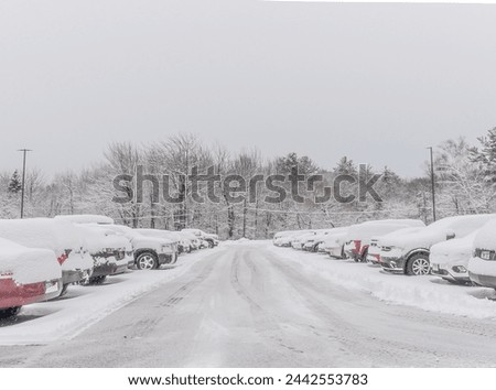 Roads After Heavy Snow Storm