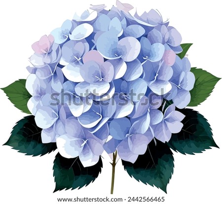Watercolor hydrangea clipart with clusters of blue, purple, and pink flowers Royalty-Free Stock Photo #2442566465